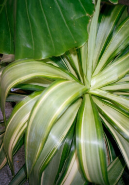 Initiative Zirkul&auml;res Bauen Wir sind eine junge Carezentrierte Genossenschaft mit Fokus auf zirkul&auml;rem Bauen