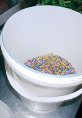 Initiative Zirkul&auml;res Bauen Wir sind eine junge Carezentrierte Genossenschaft mit Fokus auf zirkul&auml;rem Bauen